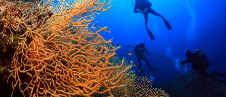 Feature image Scuba Day 1 1 768x330
