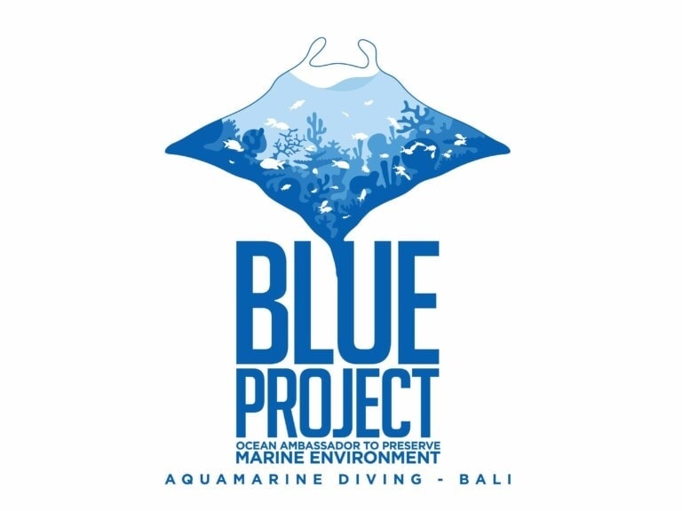 Blue Project by AMD B 768x576