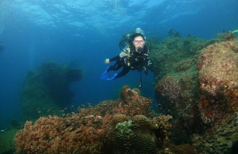 scuba day dive shops 768x497